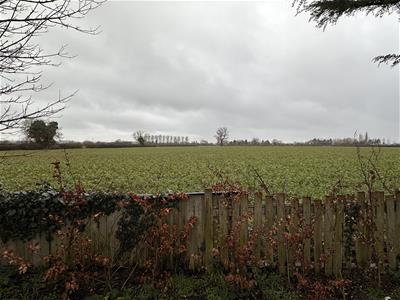Picture 23